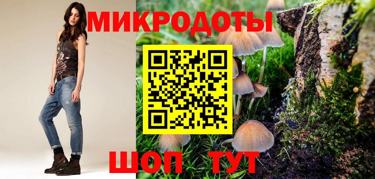 Галлюциногенные грибы прущие грибы  Вход с VPN  Вичуга  Псилоцибиновые грибы Psilocybe 